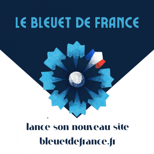 bleuet de france